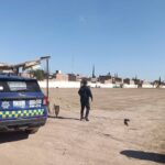 2b3f9a2e-f11b-4205-ab90-4c8a59cfb877