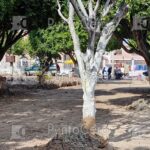 1df4889b-1b1f-484f-a67b-385e631ab03d