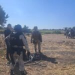 3a5db54e-2e30-4b38-bfab-bab073a9cde5