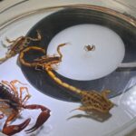 44030b5d-3d70-4dfb-9ac6-bd6ce4a94087