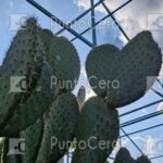 a6e23457-18cc-4301-8eb4-8587490baa37