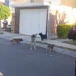 05d31676-98a9-4aca-9c44-0d47b60db5c7