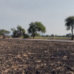 1bd13159-2ef6-4fa3-ba5d-c1e355efaffd