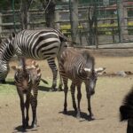 41dfa316-4660-402c-9887-647146493fab