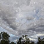 IMG-20260511-WA0043