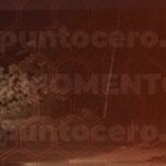 07fc23cb-6250-4c76-b387-bccefec96e52