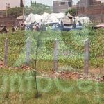 IMG-20260712-WA0043(1)